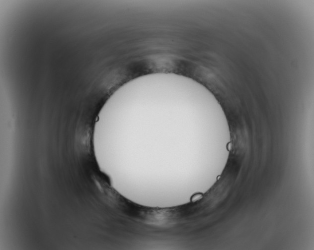 X0000088150717200705211156