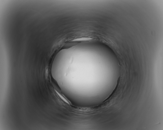 X0000088150720200705211156