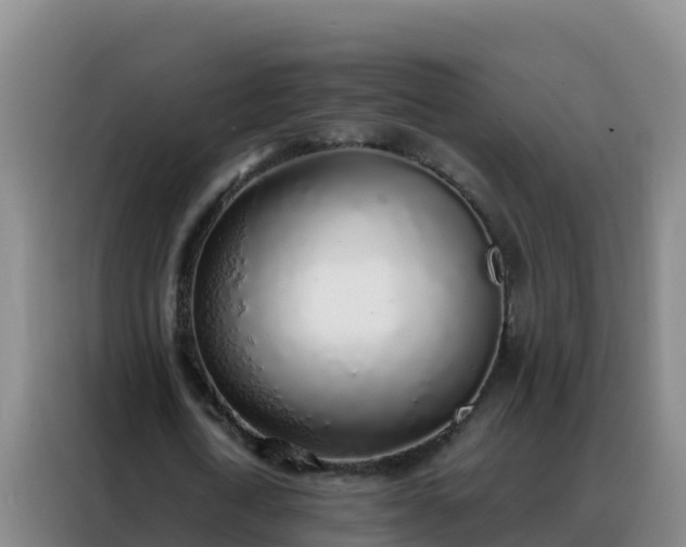 X0000088150722200705211155