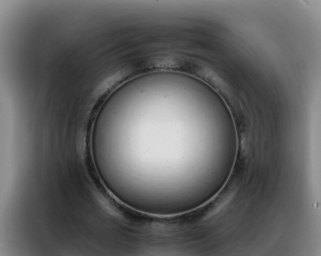 X0000088150725200705211155