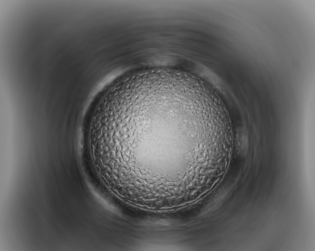 X0000088150726200705211155