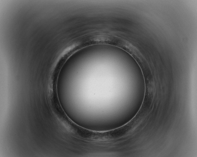 X0000088150727200705211155