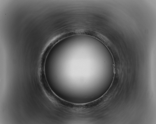 X0000088150728200705211155