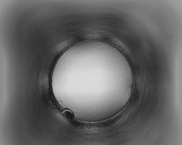 X0000088150729200705211155