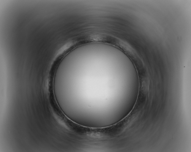 X0000088150730200705211155