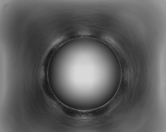 X0000088150731200705211155