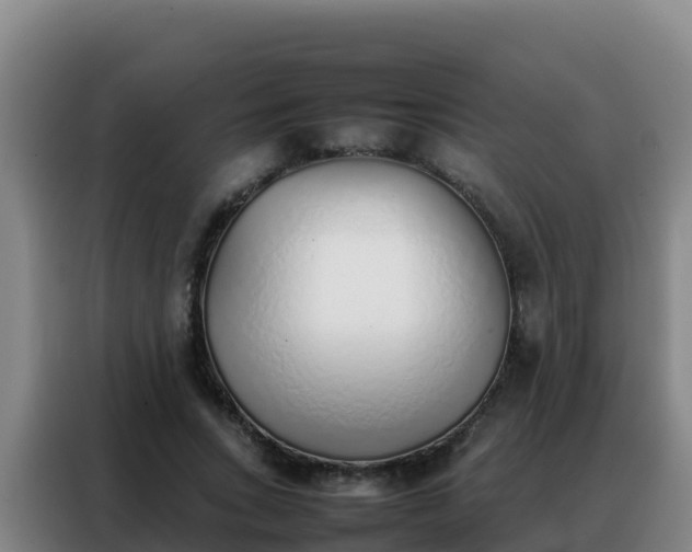 X0000088150735200705211155