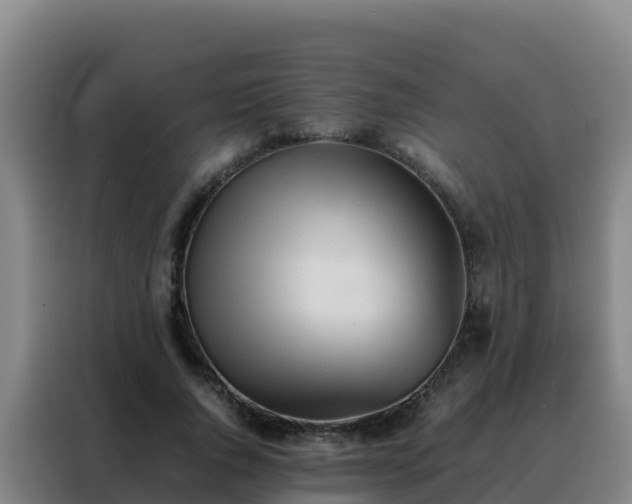 X0000088150736200705211155