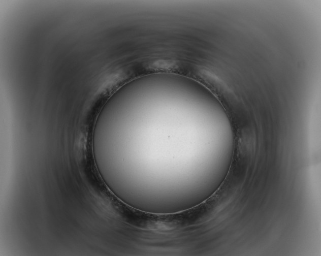 X0000088150739200705211155