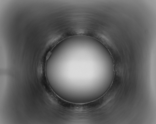 X0000088150740200705211155