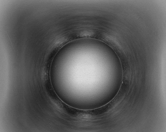 X0000088150743200705211155