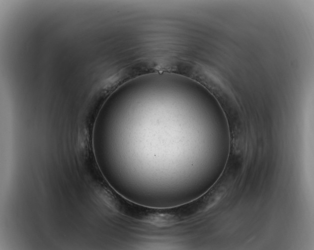 X0000088150748200705211156