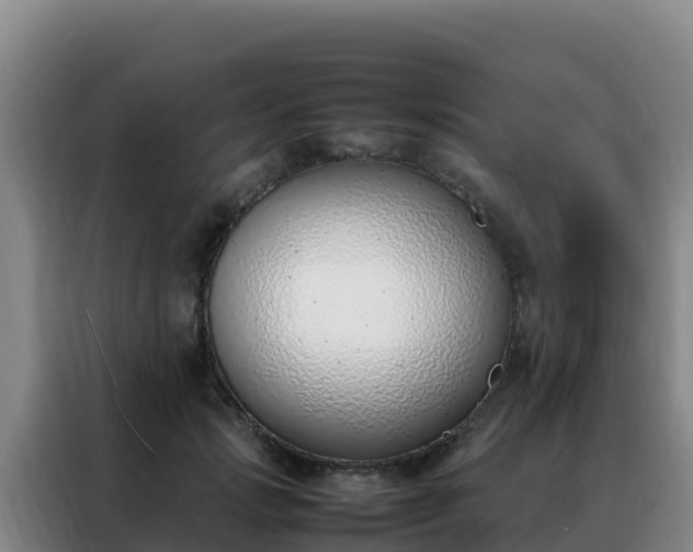 X0000088150749200705211156