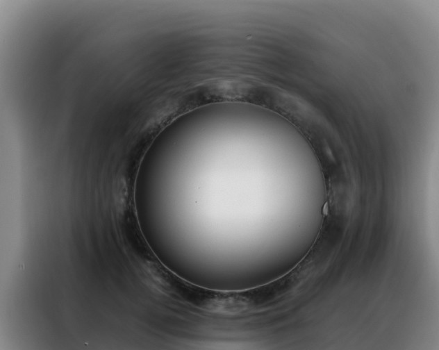 X0000088150752200705211156