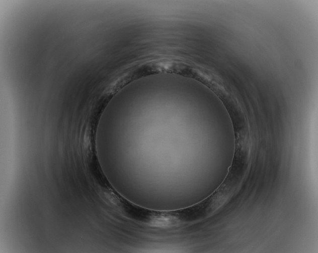 X0000088150754200705211156