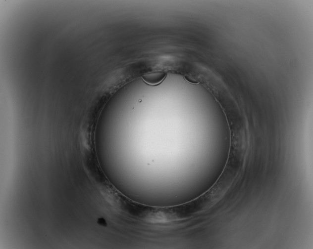 X0000088150755200705211156