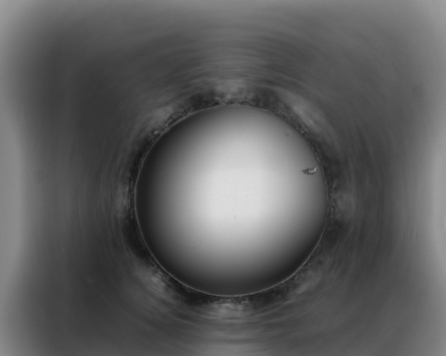 X0000088150756200705211156