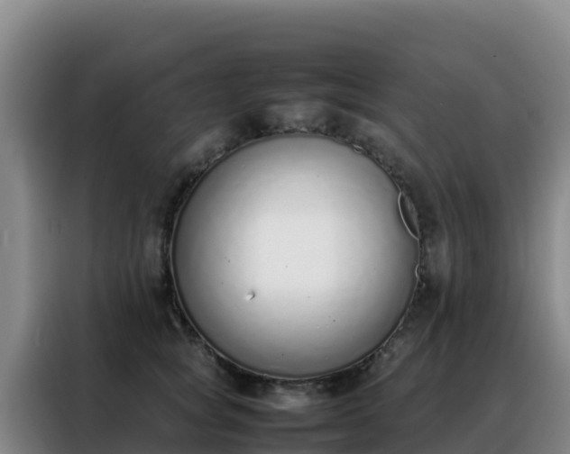 X0000088150757200705211156