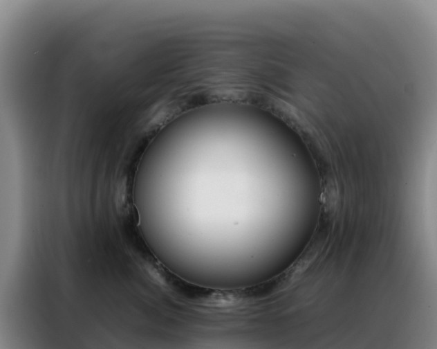 X0000088150764200705211156