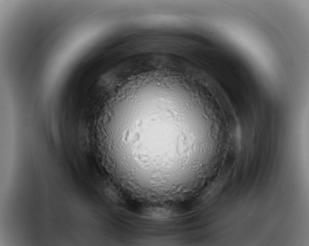 X0000088150765200705211156