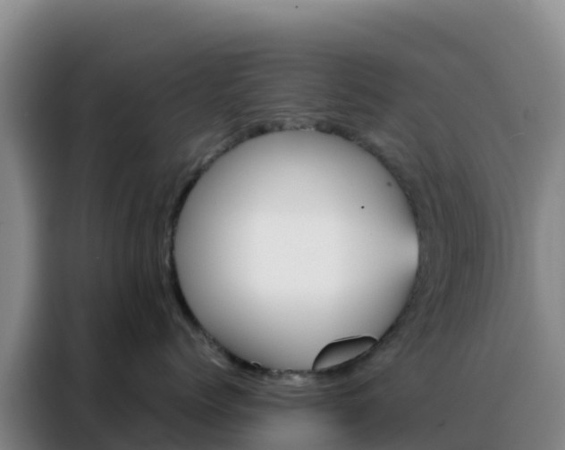 X0000088150768200705211156