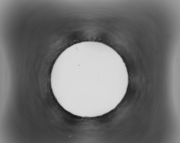 X0000088150769200705211155