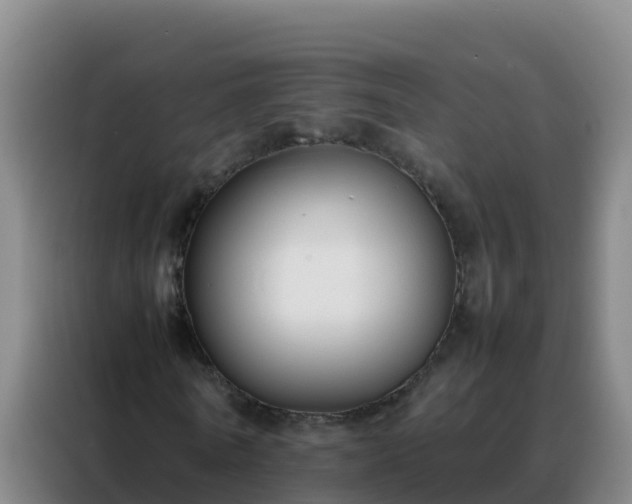 X0000088150770200705211155