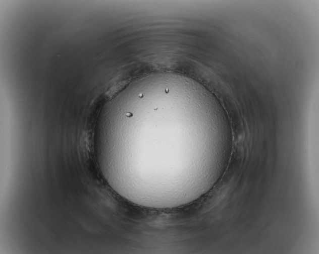 X0000088150772200705211155