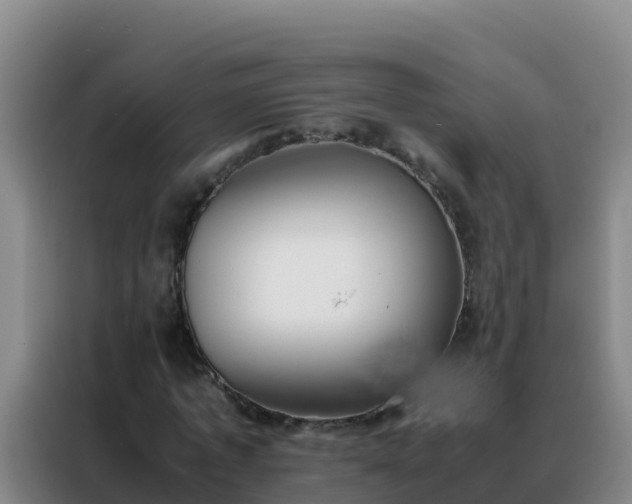 X0000088150773200705211155