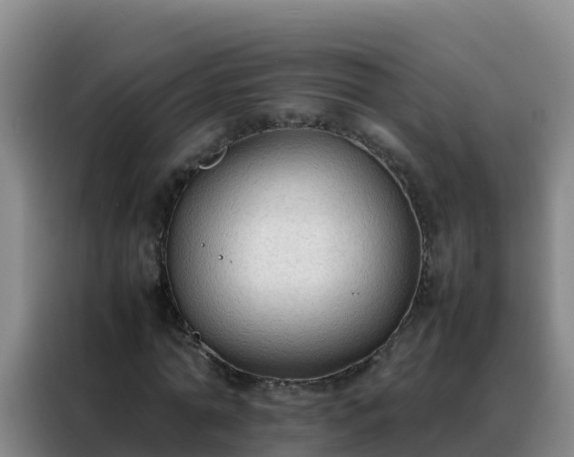 X0000088150774200705211155