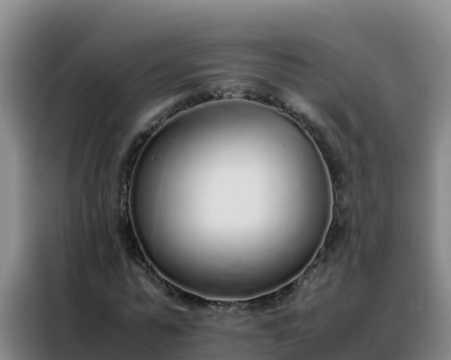 X0000088150775200705211155