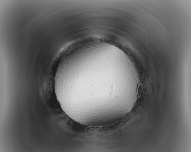 X0000088150776200705211155