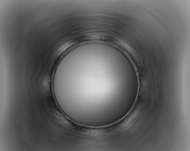 X0000088150778200705211155