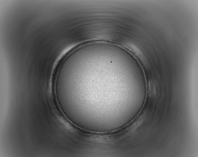 X0000088150780200705211155