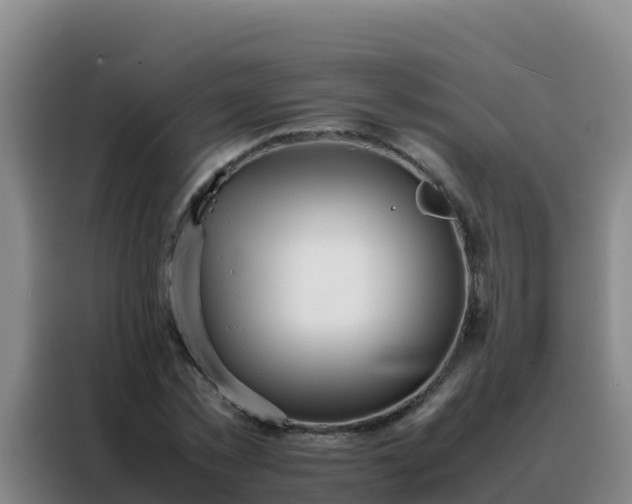 X0000088150781200705211155