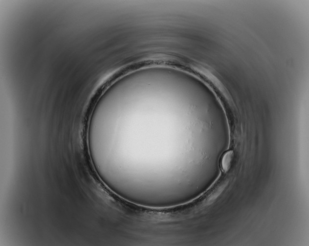 X0000088150783200705211155