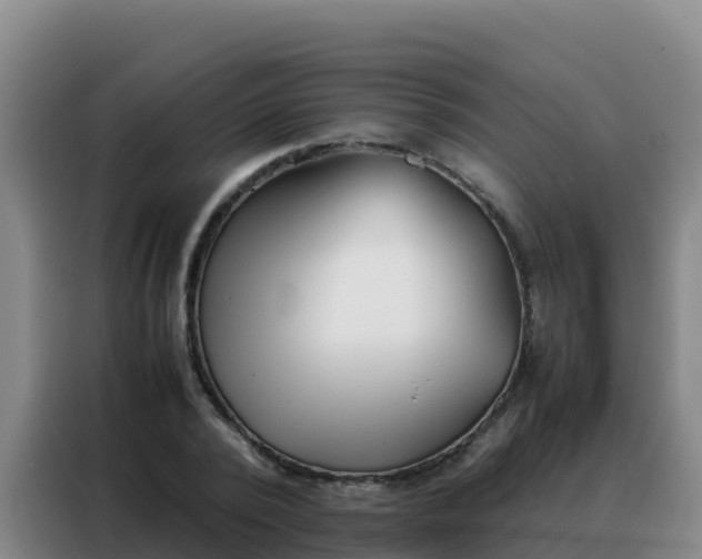 X0000088150784200705211155