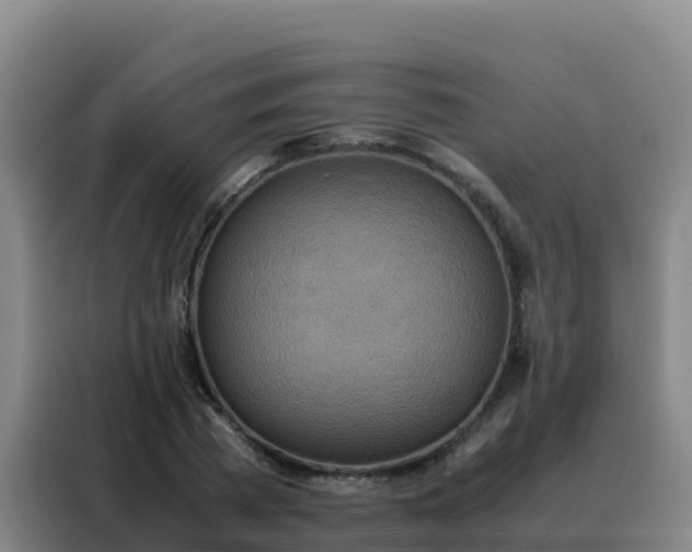 X0000088150785200705211155