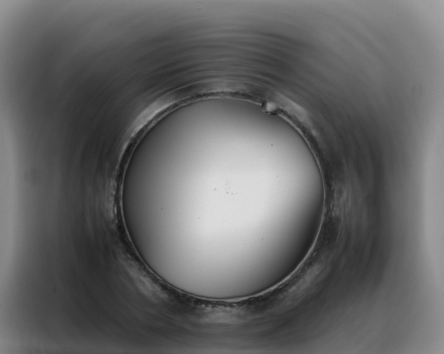 X0000088150786200705211155