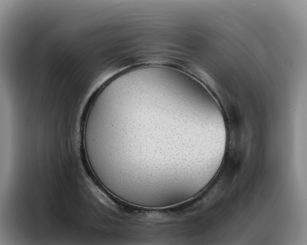 X0000088150787200705211155