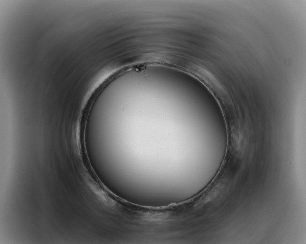 X0000088150788200705211155