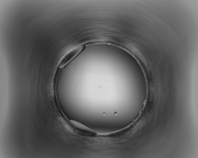 X0000088150789200705211155