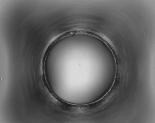 X0000088150791200705211155