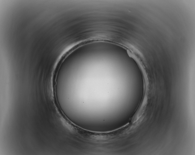 X0000088150792200705211155