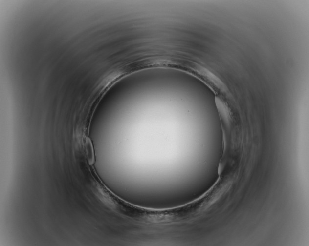 X0000088150793200705211155