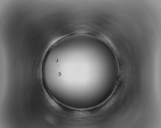 X0000088150795200705211155