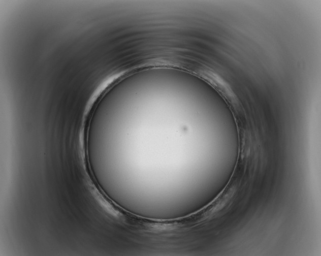 X0000088150796200705211155