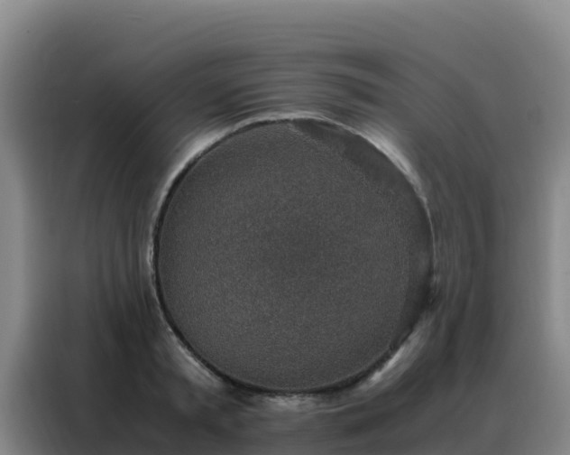 X0000088150797200705211155