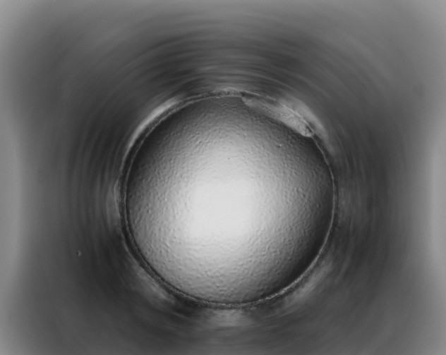 X0000088150798200705211155