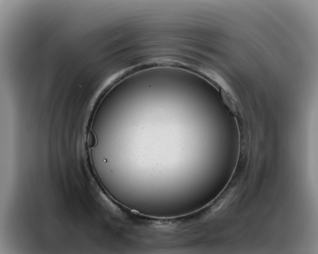 X0000088150799200705211155